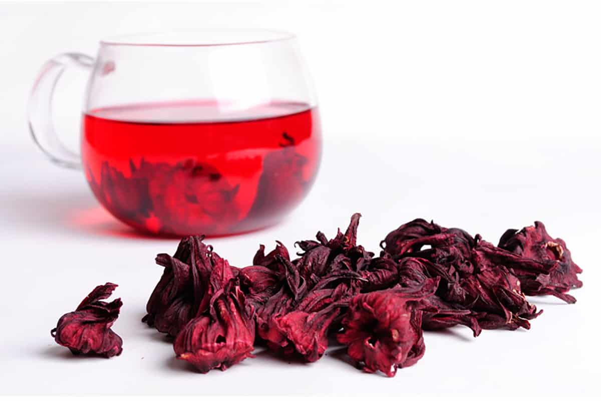 Каркаде гибискус сабдариффа. Чай каркаде лепестки суданской розы. Красный чай каркаде.